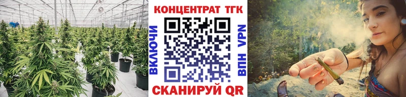 где купить   MEGA вход  ТГК вейп с тгк  Приморск 