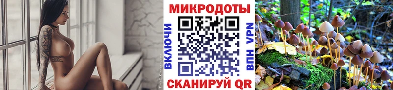 Псилоцибиновые грибы Cubensis  Приморск 