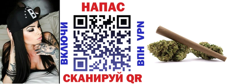 Шишки марихуана Amnesia  Приморск 